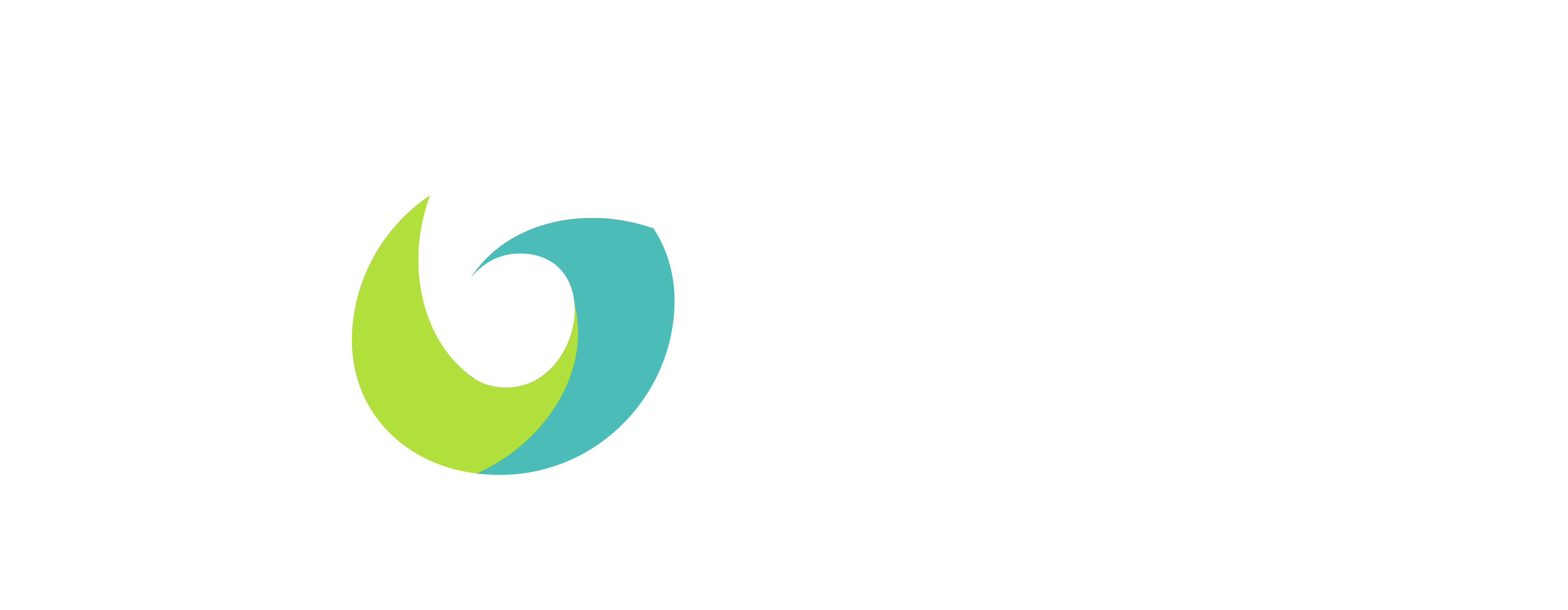 Volly Logo
